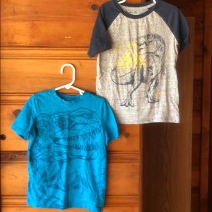 Dinosaur shirt bundle